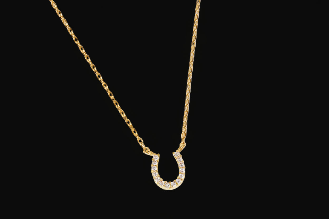 Horseshoe CZ Pendant Gold Dipped Necklace : GDCRY / ONE SIZE