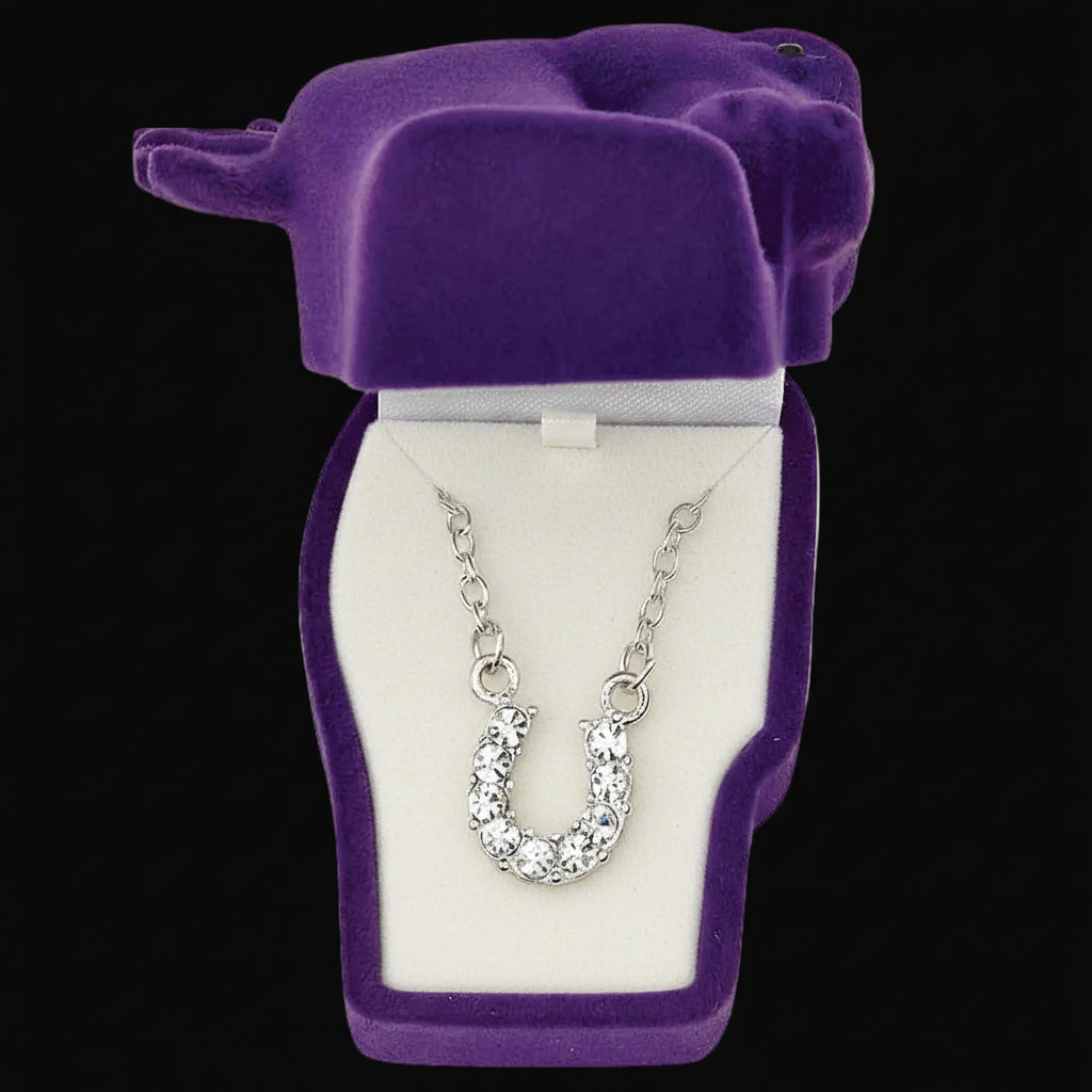 Western Express Clear Rhinestone Horseshoe Necklace in Pony Head Gift Box