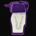 Western Express Clear Rhinestone Horseshoe Necklace in Pony Head Gift Box