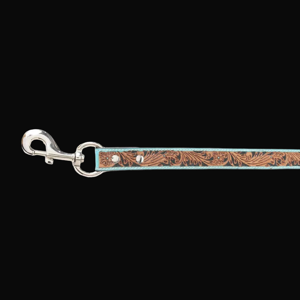 Luna Beam Dog Leash In Turquoise
