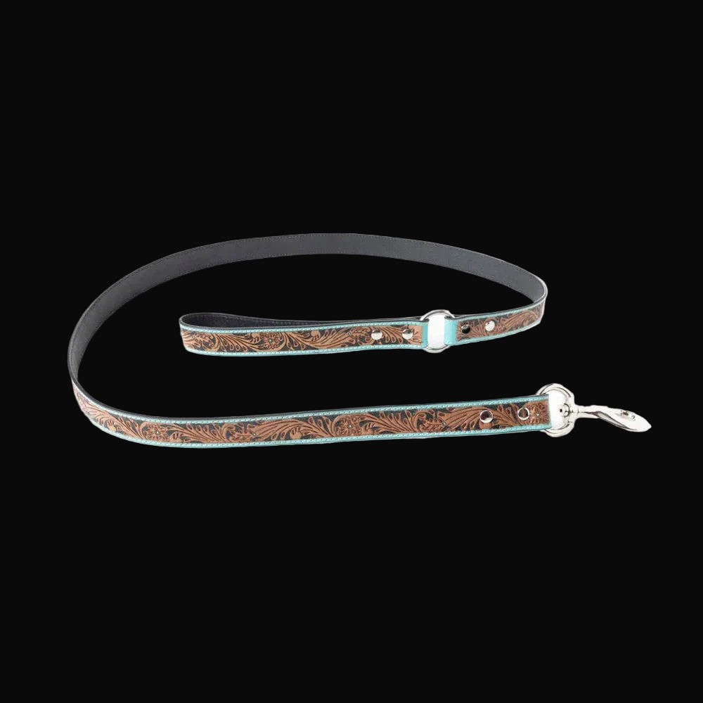 Luna Beam Dog Leash In Turquoise