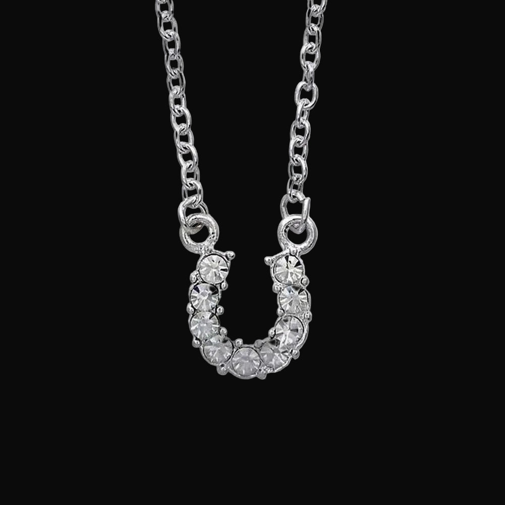 Western Express Clear Rhinestone Horseshoe Necklace in Pony Head Gift Box