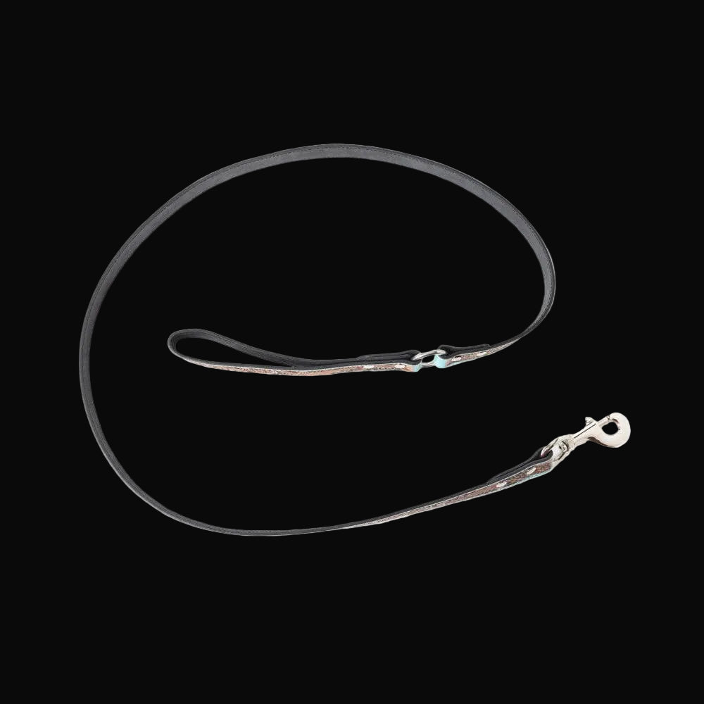 Luna Beam Dog Leash In Turquoise