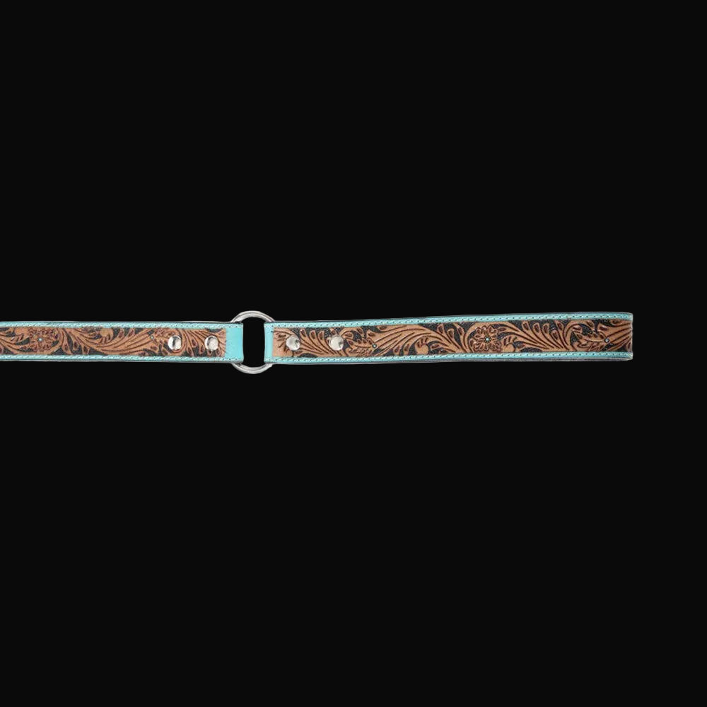 Luna Beam Dog Leash In Turquoise
