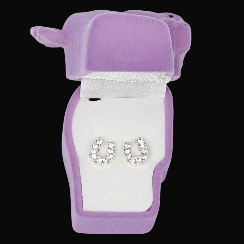 Western Express Clear Rhinestone Horseshoe Earrings in Pony Head Gift Box